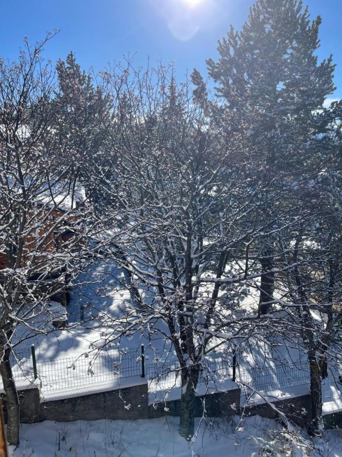Chalet Isard Pyrenees 2000 - 300M Des Pistes Bolquere Pyrenees 2000 Εξωτερικό φωτογραφία